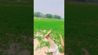 Street fighting in danger #street #fighting #viral