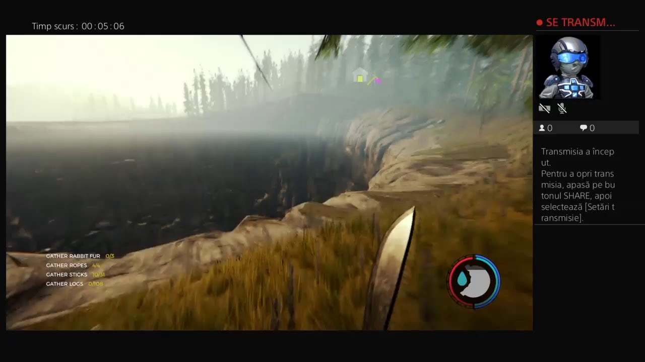 Live  The  Forest Peacefuel  Finalul