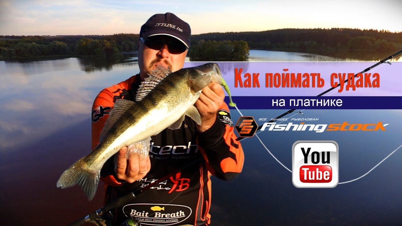 Ловля судака на оке
