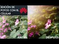 Tutorial Huawei P30 PRO edición de foto con Lightroom y Lens Distortions