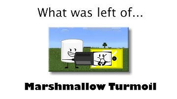 What was left of Marshmallow Turmoil