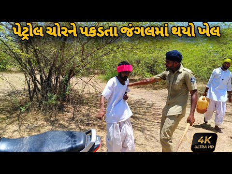 પેટ્રોલ ચોરને પકડતા જંગલમાં થયો ખેલ। gujarati comedy video। કોમેડી વીડિયો Dil se india comedy 