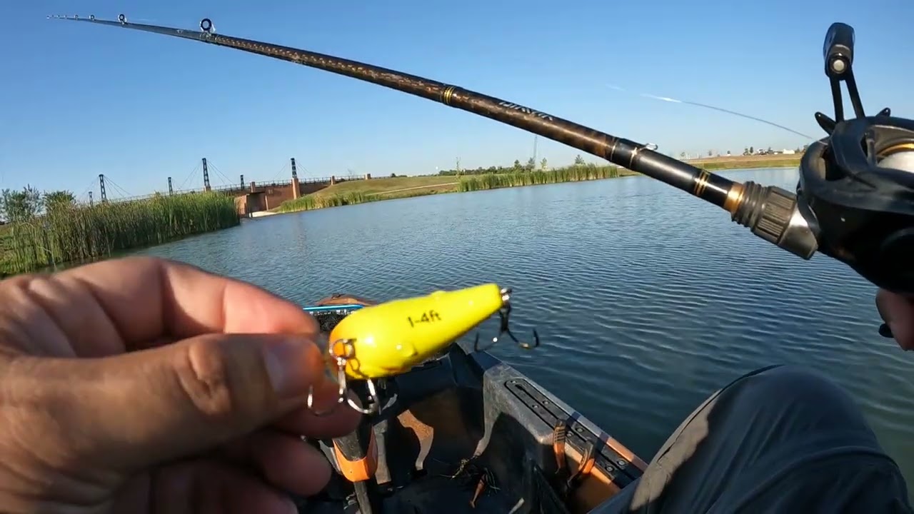 Bass Fishing the Fall Transition