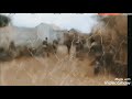 Somalia military offensive against Alshabaab continues. August 2021
