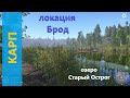 Русская рыбалка 4 - озеро Старый Острог - Карп у мостика через брод