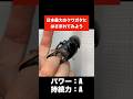 日本最大のクワガタに指をはさまれるとこうなる