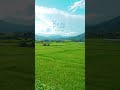 田舎の夏ってなんかいいよね。