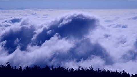 سورة الشورى تلاوة ولا اروع.