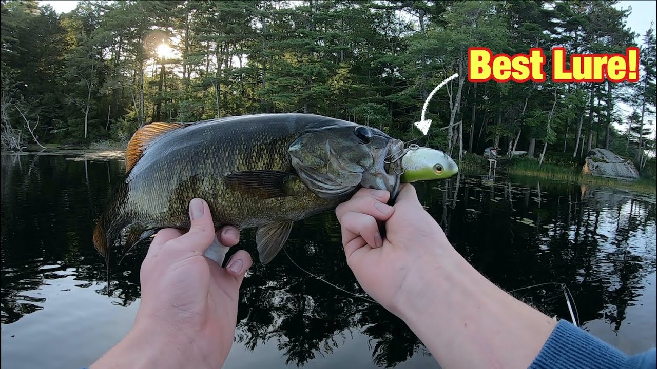 MAINE Bass Fishing - BEST Topwater Lure 