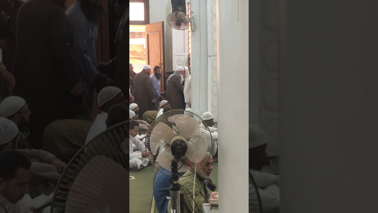 اللهم احفظ الشيخ رسلان وبارك لنا فيه ☘️☘️ #رسلان #العلامة_الرسلان