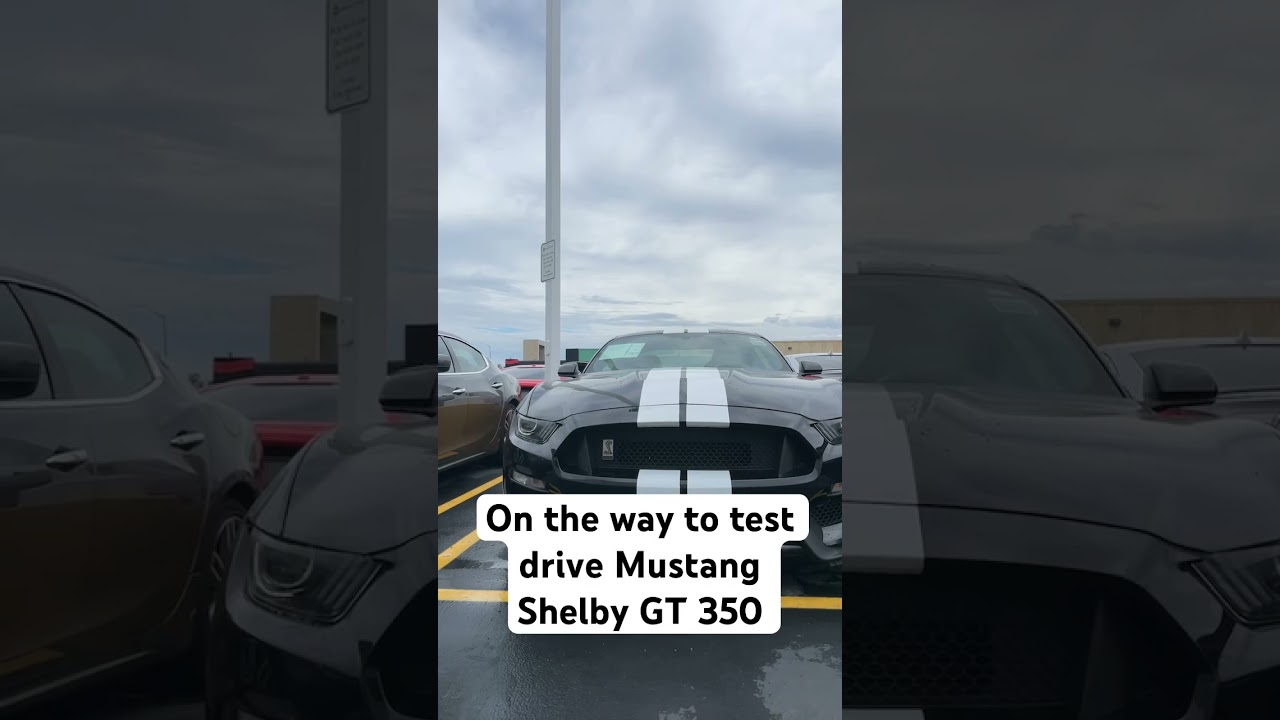 On the way to test drive 2016 Ford Mustang Shelby GT350 at Indy Auto Man car dealership in Indy.