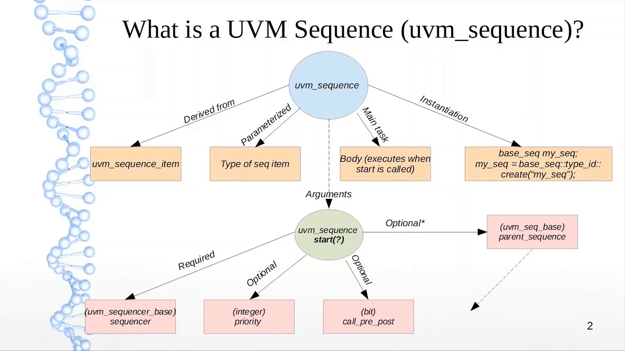 how long should the uvm optional essay be