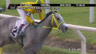 Vidéo de la course PMU PRIX SUPER EXCELENTE (2019)