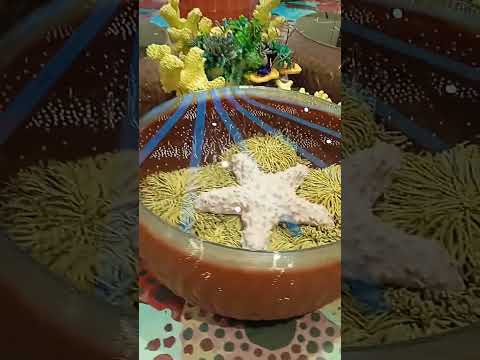 Beautiful Place In Abu Dhabi