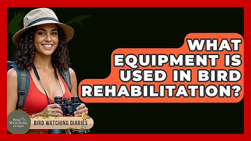 What Equipment Is Used In Bird Rehabilitation? - Bird Watching Diaries