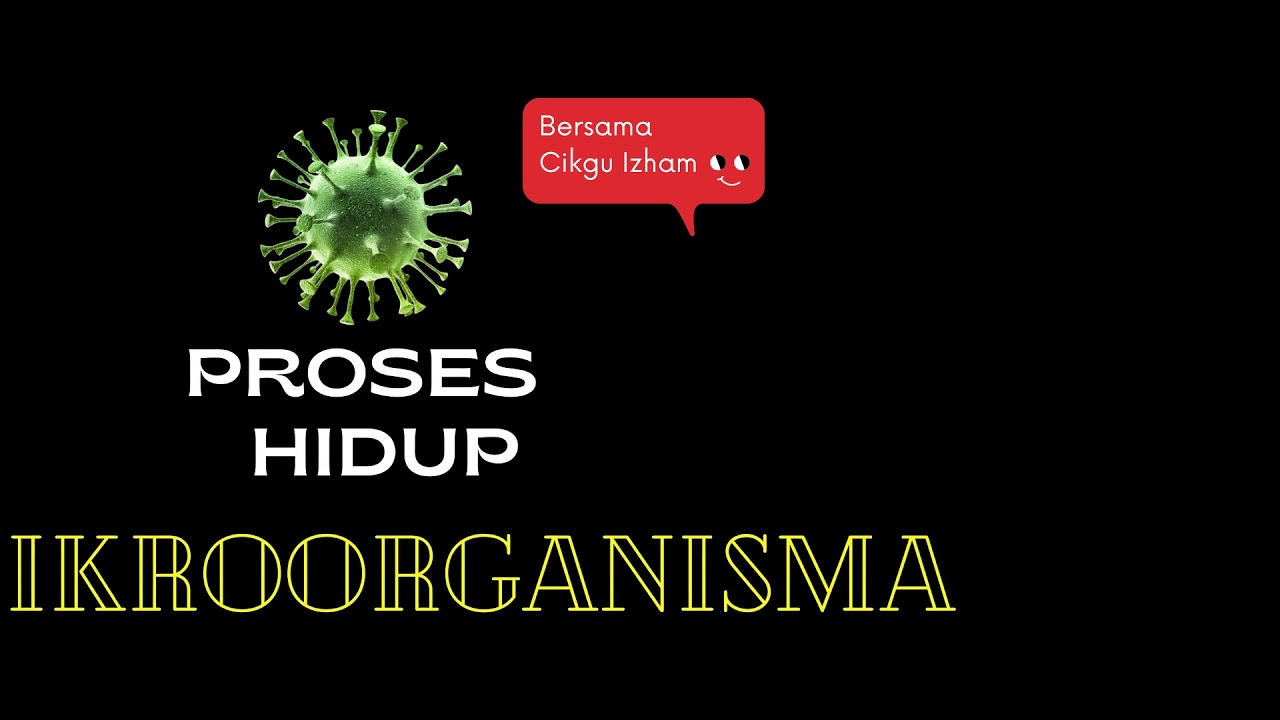 Proses Hidup Mikroorganisma Youtube