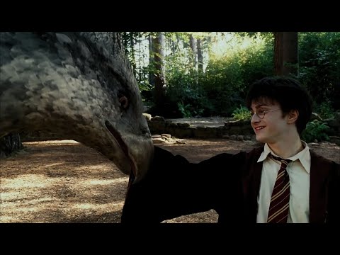 Видео: Откриване на Хагрид в ревюто на Wizarding World Of Harry Potter