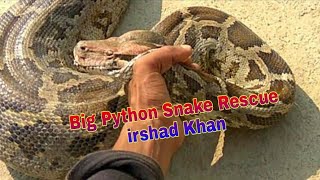 Celebrity Rescue Indian Rock Python || आज हमने अजगर साप को बचाया और उसे जंगल में छोड़ दिया#Short Profile