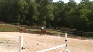 brooktini 2ft jump course