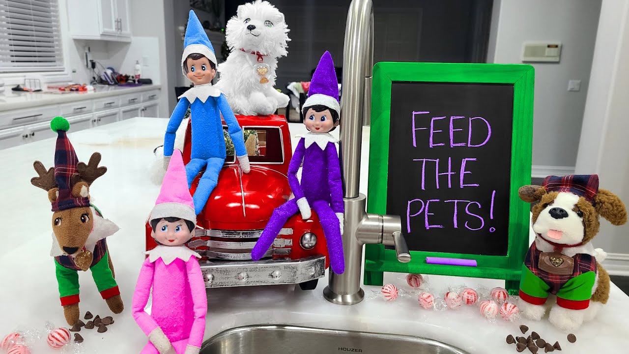 Elf On The Shelf Elf Pets Day 2 YouTube Elf On The Shelf Elf Pets Day 2 YouTube