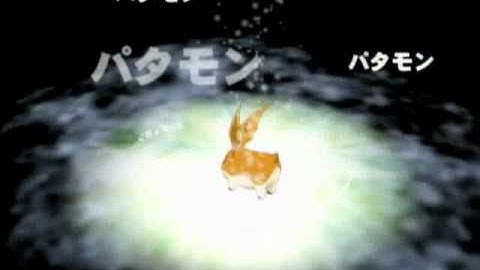 Patamon Digivolves to Angemon (Japanese)