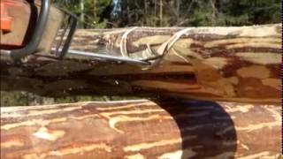 Construction d´une cabane en bois rond, en Laponie suédoise