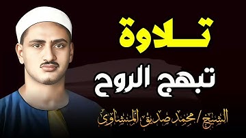 رحلة إيمانية.. تلاوة تبهج الروح وتغمر النفس بالطمأنينة || الشيخ محمد صديق المنشاوي
