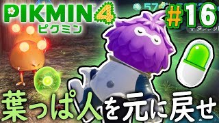 人間に戻れー！夜を探索して手に入れた薬でみんな元通り