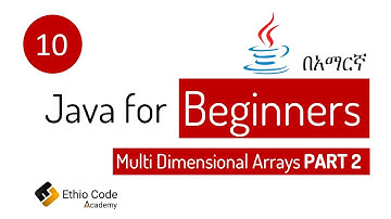 Java for Beginners 10 - Multidimensional Arrays in Java PART 2 | በአማርኛ