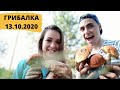 УРА! ПОШЛИ МАСЛЯТА. БЕЛЫЕ ГРИБЫ. ГРИБЫ ОКТЯБРЬ 2020