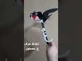 انشطة مدرسية عصفور حرف عين