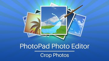 How to Crop Photos and Images | PhotoPad Photo Editor Tutorial