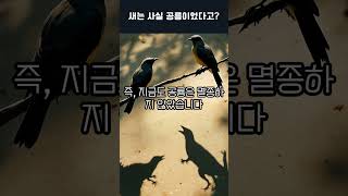 새는 사실 공룡이었다고?  #지식 #탐구퀘스트 #이슈