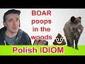 POLISH IDIOM - Pytasz dzika czy 💩💩💩 w lesie?