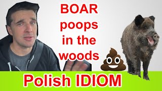 POLISH IDIOM - Pytasz dzika czy 💩💩💩 w lesie?