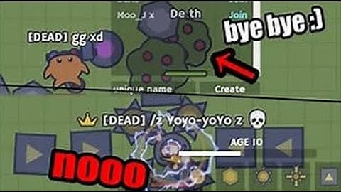moomoo.io Trolling to hackers🤣lol
