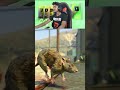 Gta 5 Animals VS Military Base..?