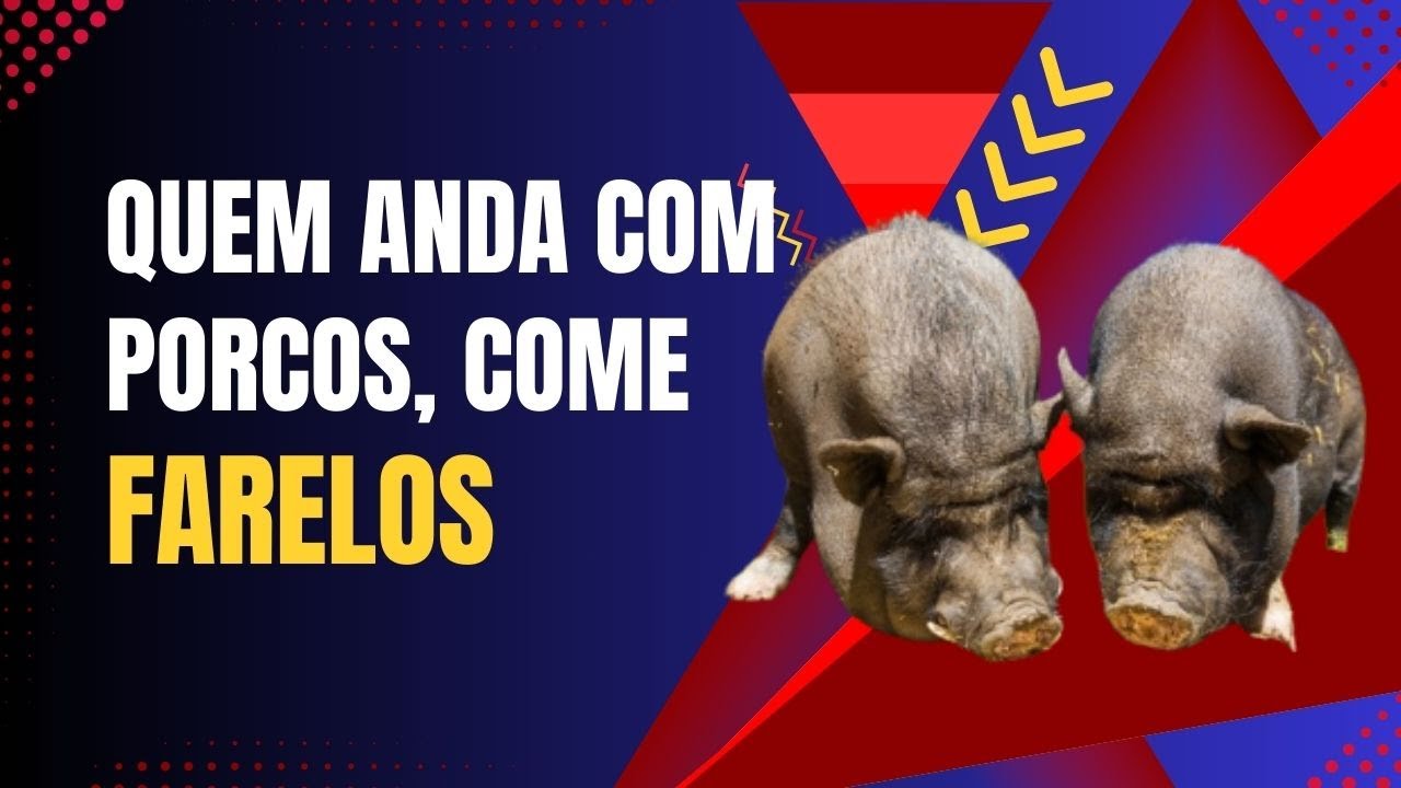 Quem anda com porcos, come farelos - O Peso das Companhias - YouTube