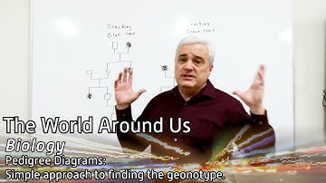 Pedigree Diagrams: Simple approach for finding genotype