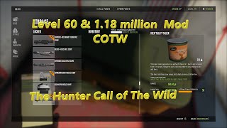 Level 60 and 1.18 million mod