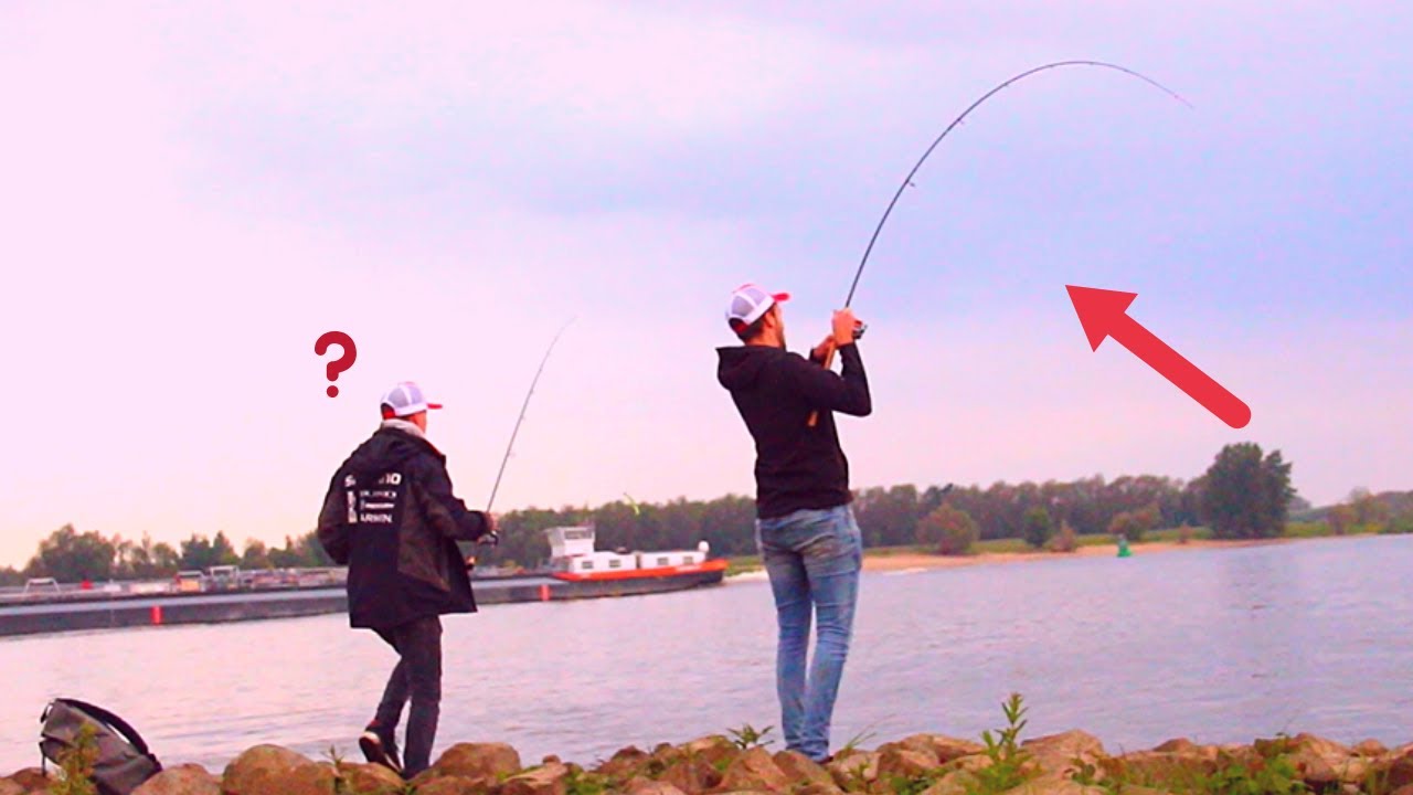 VISSEN op SNOEKBAARS VANAF DE KANT!!!! (LIVE AANBETEN), Snoekbaars en