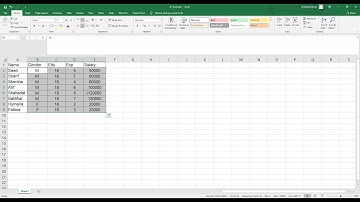 Basic Data Entry in Excel Part 2 Pashto