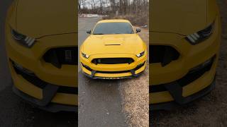 No words needed #shelby ##gt350 #carsedit #scenery #carvideo #vibe #carvibes #trending #godisgood 