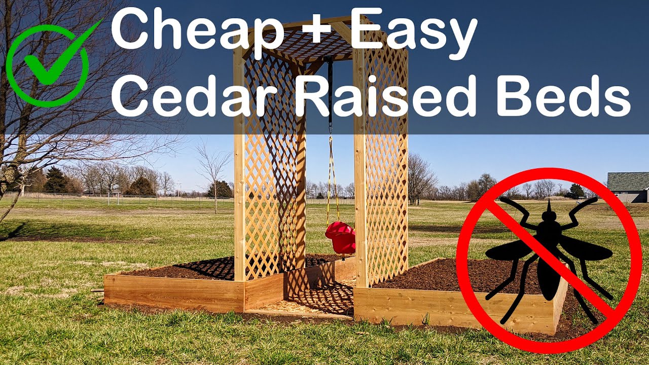 How to Build Cedar Raised Garden Beds - Cheap and Easy - YouTube
