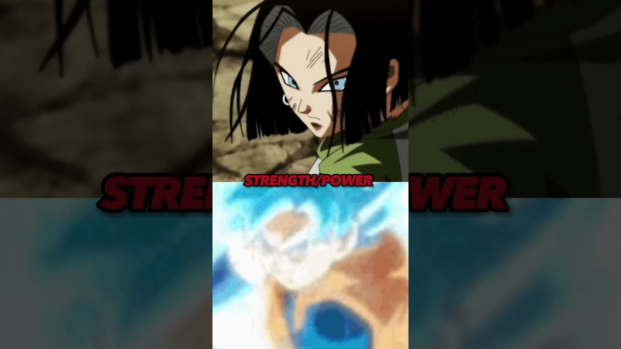 Android 17 T.O.P vs SSJB Goku 
