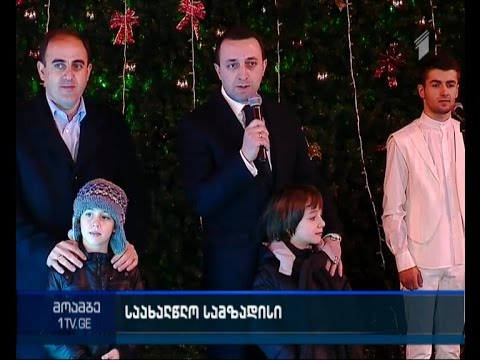 თბილისის მთავარი ნაძვის ხე საზეიმოდ განათდა