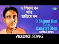 O shimul bon dao rangiye mon  audio  shyamal mitra  gauriprasanna mazumder