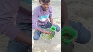 Ghar Pe Banaya Aam Panna 😍 | Desi Mango Drink Recipe 🤤 #shorts