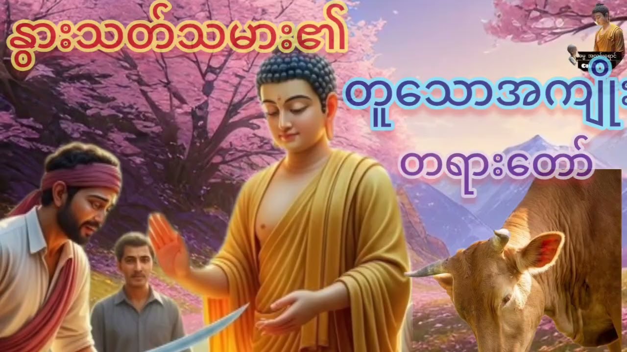 သစ္စာရွှေစည် ဆရာတော်#ရှင်ဥတ္တမ၏ တရားတော်များနာကြား၍ စိတ်ရောကိုယ်ပါ အေးမြသာယာကြပါစေ##$
