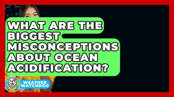 What Are The Biggest Misconceptions About Ocean Acidification? - Weather Watchdog